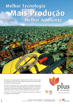 An�ncio PLUS teste