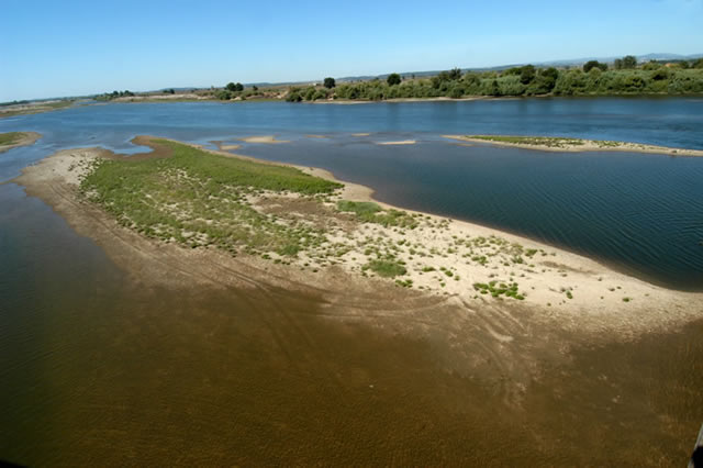 O rio Tejo e os Mouches