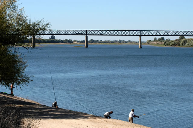 Ponte da Chamusca e o rio Tejo