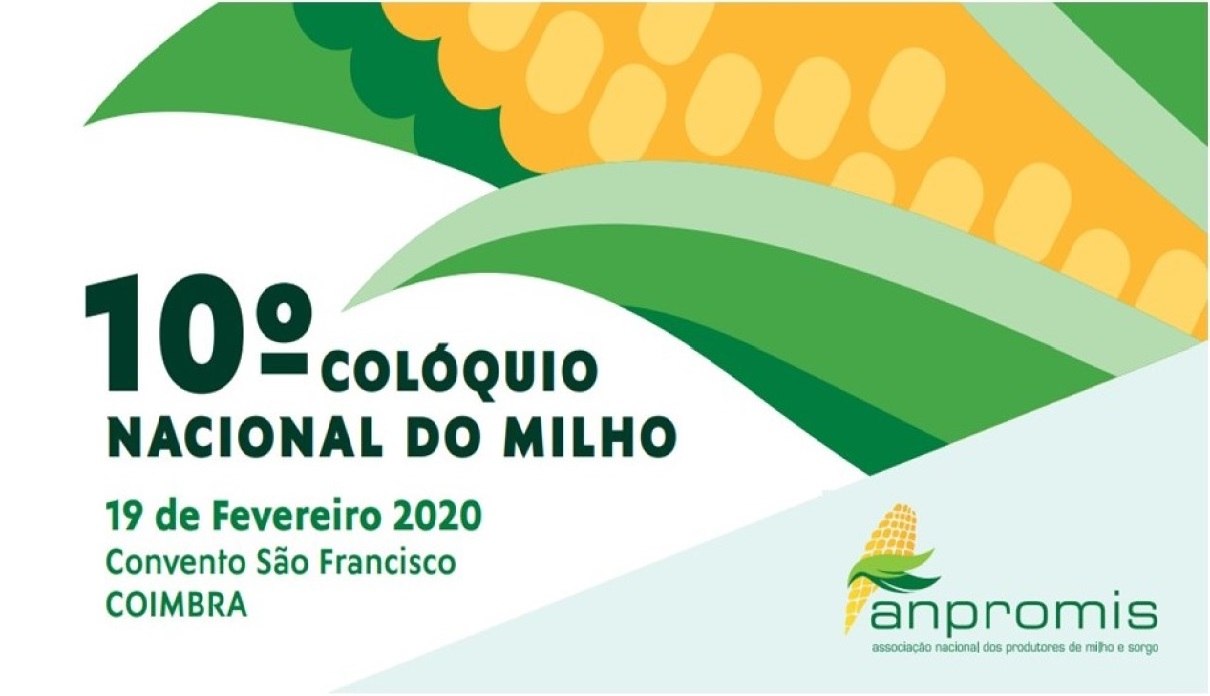 10 Colquio do Milho