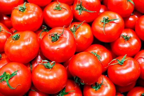 Tomate indstria